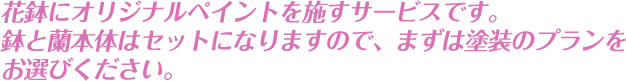 花鉢にオリジナルペイントを施すサービスです。鉢と蘭本体はセットになりますので、まずは塗装のプランをお選びください。