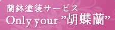 蘭鉢塗装サービスOnly your胡蝶蘭