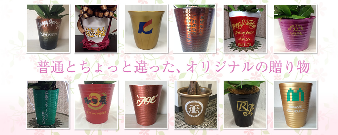 普通とちょっと違った、大切な贈り物